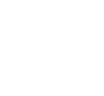 parent icon